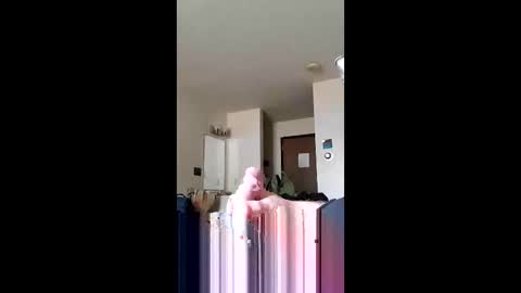 discreetmt online show from June 11, 1:42 pm