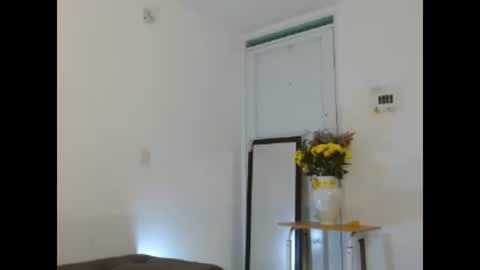 disneey2888 online show from January 8, 2:50 am