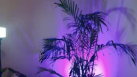 DivineLynn online show from May 11, 1:07 pm