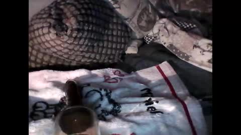 djangodave569829 online show from October 4, 11:24 pm