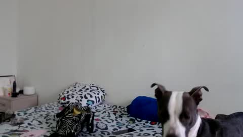 Catherine XXX online show from April 10, 6:45 pm