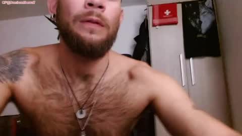 Logan - INDEPENDET MODEL online show from May 9, 3:12 am