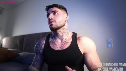 Dominic Sullivan online show from January 17, 2:54 am