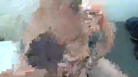 domjfriesen1541 online show from April 19, 5:47 pm