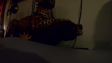 Snapshot of donkellz chatting on October 2, 1:04 am Sapphire Fox online show from October 2, 1:04 am