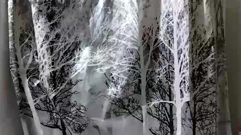 donschlongs online show from December 28, 7:01 pm