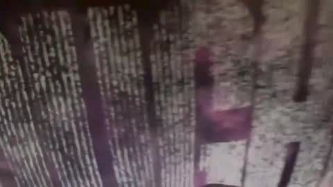 downforwhatever1999 online show from July 20, 1:52 am