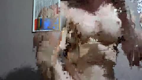 drake__wolf online show from October 15, 4:38 am
