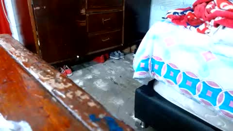 dreamreal online show from November 10, 11:02 am