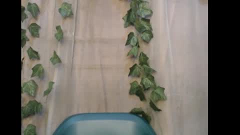 linda online show from January 9, 9:26 am