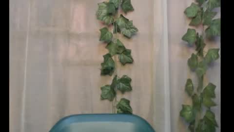 Snapshot of dripqueenx chatting on September 29, 12:26 pm linda online show from September 29, 12:26 pm