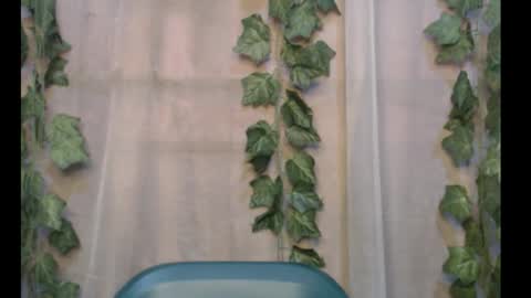 Snapshot of dripqueenx chatting on September 30, 12:37 pm linda online show from September 30, 12:37 pm