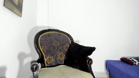 drizsx online show from January 15, 9:02 am