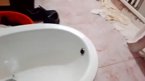 dthedog12 online show from December 5, 10:07 pm