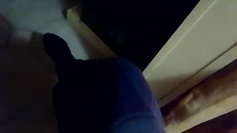 dthedog12 online show from December 17, 1:45 am