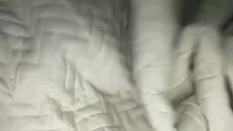 dtreyho online show from April 22, 12:34 pm