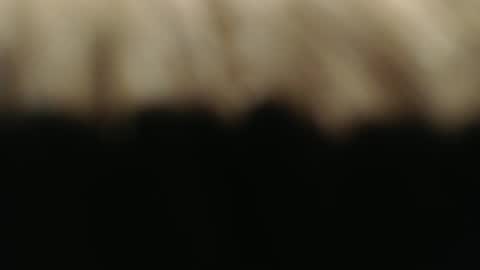 swiss kiss online show from March 1, 7:15 pm