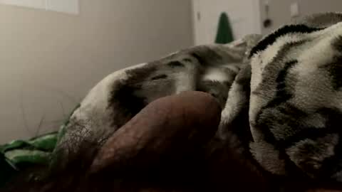 Dylan online show from February 12, 4:01 am