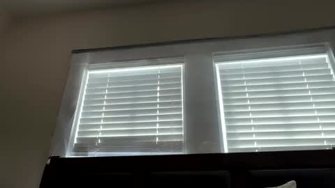 Dynasty online show from February 12, 5:05 pm