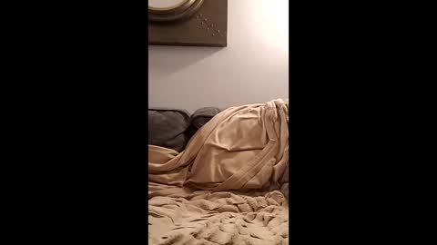 eat_a_lot_of online show from February 9, 12:36 am