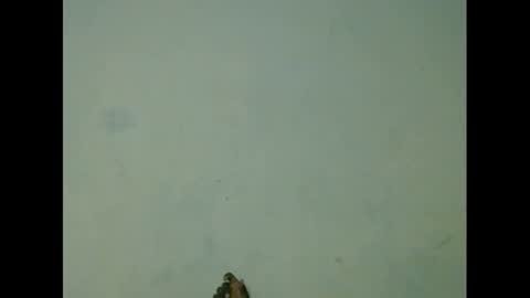 eatuupx online show from March 9, 2:07 am