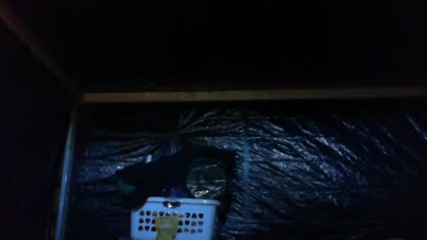 ebear1 online show from February 27, 9:36 pm