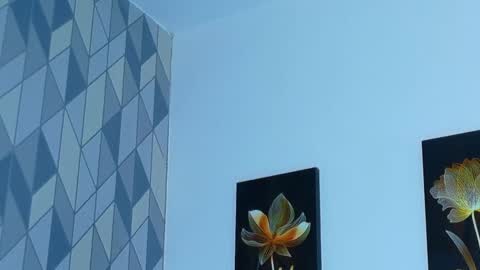 ebonyndsavage online show from February 26, 11:41 pm