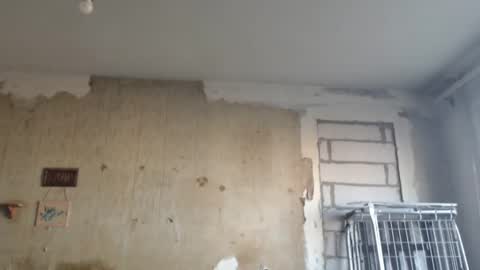 Alexander online show from February 12, 1:16 pm