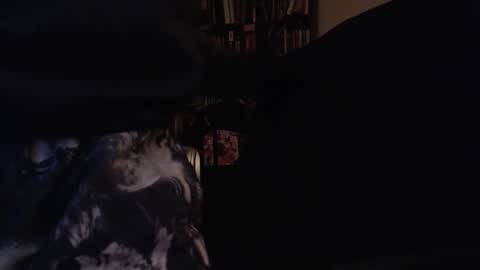 Snapshot of eeyoreeeyore chatting on October 29, 4:47 am eeyoreeeyore online show from October 29, 4:47 am