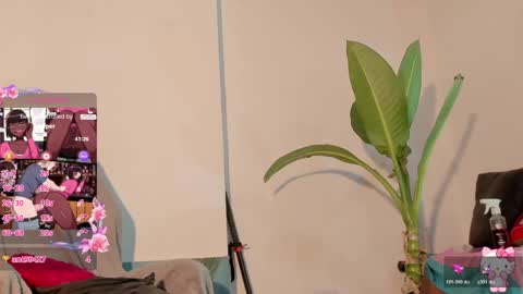 effy_marinn online show from May 10, 2:29 am