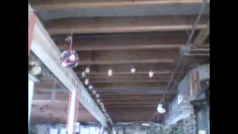 efriff online show from April 18, 7:58 pm