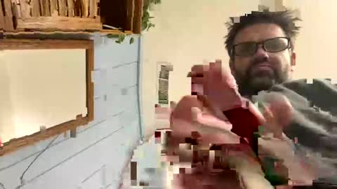 PiedPiper online show from April 22, 4:25 pm