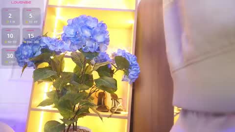 Elasummeer online show from December 1, 12:03 pm