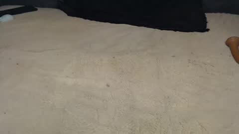 elgsslt online show from March 22, 12:31 pm