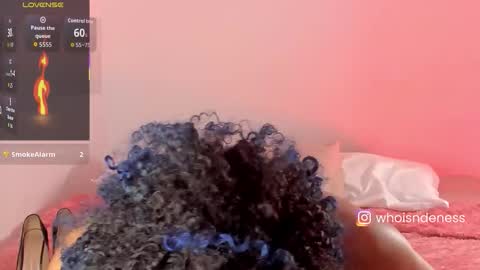   Schedule 600a.m - 200p.m Col hour online show from November 21, 3:32 pm