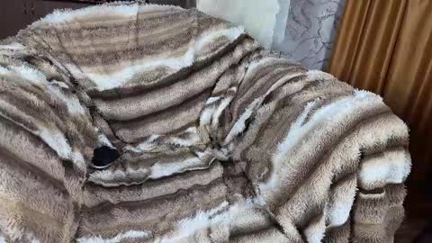 Alissa online show from November 11, 7:38 pm