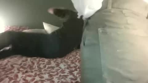 Steph et Eric online show from February 28, 10:06 pm