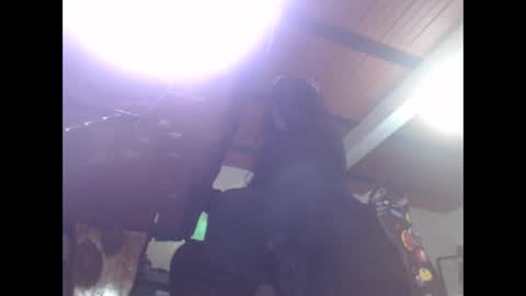 Snapshot of eskelaswd chatting on February 16, 5:37 am Eskela911 online show from February 16, 5:37 am
