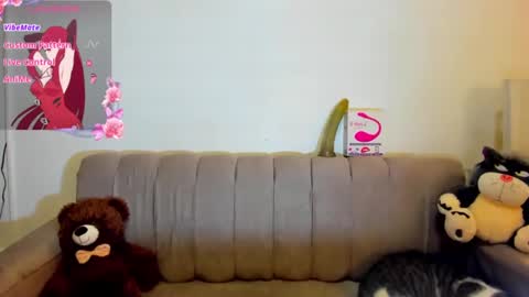 Snapshot of eva_dirtshow chatting on October 15, 5:14 pm Eva online show from October 15, 5:14 pm