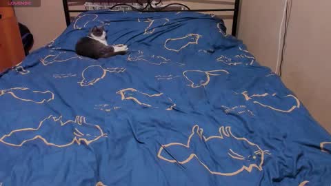 Eva online show from February 12, 2:20 pm