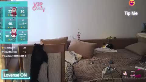 Eva online show from January 10, 7:25 am