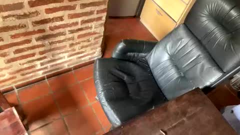 evaluz93 online show from October 29, 7:14 pm