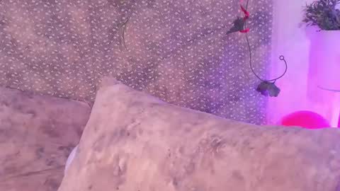 Evan Smitt online show from February 15, 4:23 pm