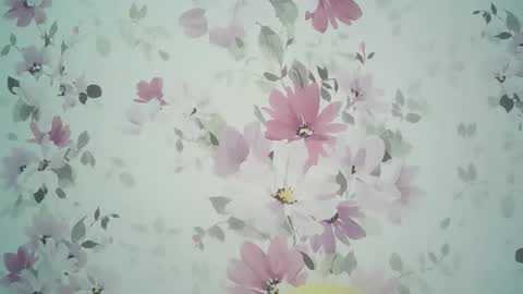 Evelina online show from May 12, 4:05 pm