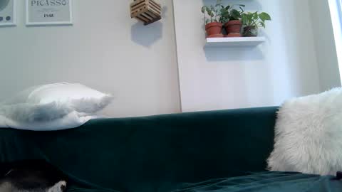 Snapshot of evillers1 chatting on September 22, 8:57 pm Badblondebunny online show from September 22, 8:57 pm