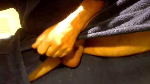 fastoys aka ...what ever.. online show from March 19, 2:33 pm