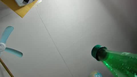 Fred. online show from February 19, 12:25 am