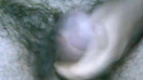 fer_2197 online show from December 6, 6:55 pm