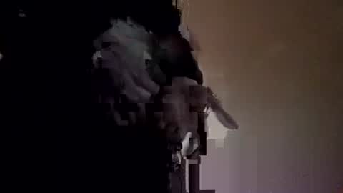 Snapshot of fffjj021 chatting on December 8, 8:30 am Raised in 90s online show from December 8, 8:30 am