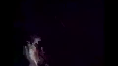 fifipan online show from April 15, 2:59 am